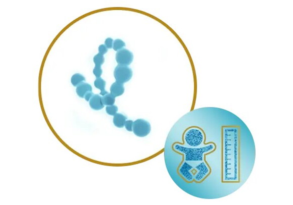 Aldersoptimeret protein ikon